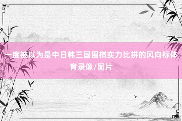 一度被以为是中日韩三国围棋实力比拼的风向标体育录像/图片