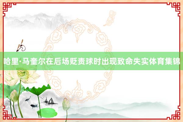 哈里·马奎尔在后场贬责球时出现致命失实体育集锦