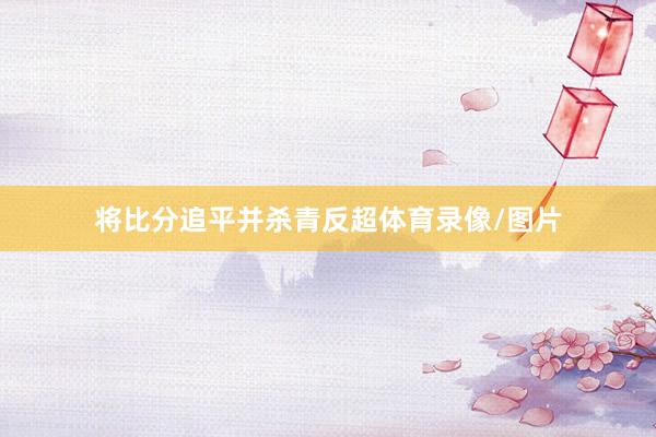 将比分追平并杀青反超体育录像/图片