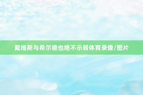 戴维斯与希尔德也绝不示弱体育录像/图片