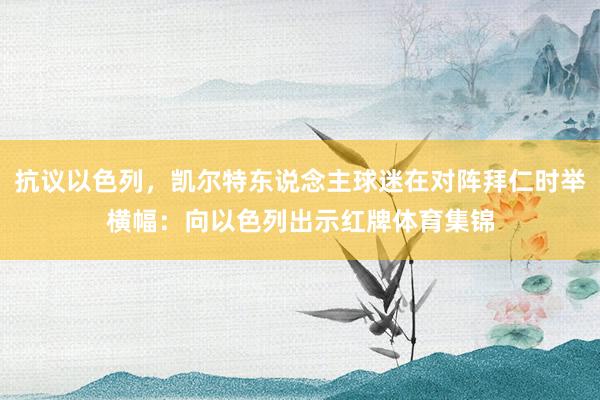抗议以色列，凯尔特东说念主球迷在对阵拜仁时举横幅：向以色列出示红牌体育集锦