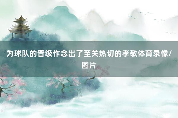 为球队的晋级作念出了至关热切的孝敬体育录像/图片