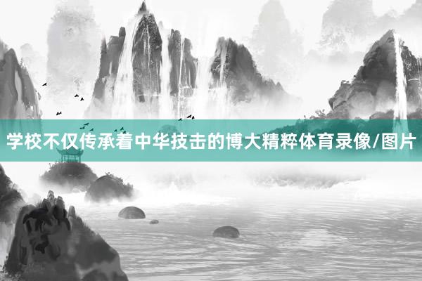 学校不仅传承着中华技击的博大精粹体育录像/图片
