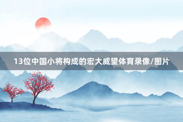 13位中国小将构成的宏大威望体育录像/图片