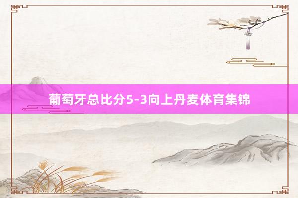 葡萄牙总比分5-3向上丹麦体育集锦
