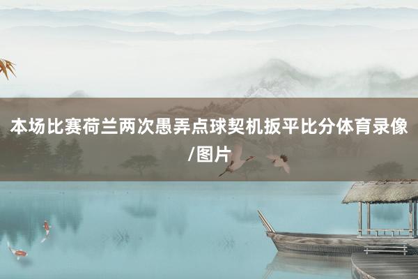 本场比赛荷兰两次愚弄点球契机扳平比分体育录像/图片