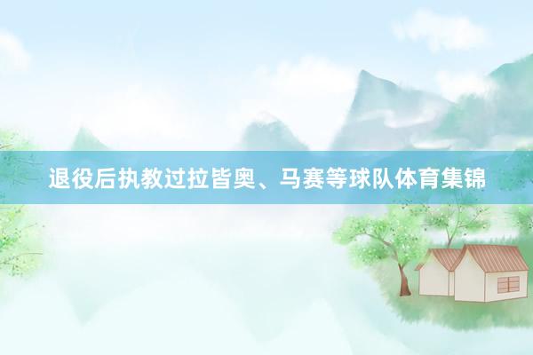 退役后执教过拉皆奥、马赛等球队体育集锦
