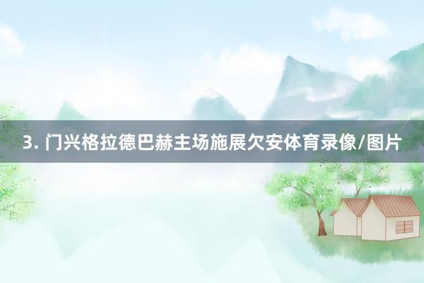 3. 门兴格拉德巴赫主场施展欠安体育录像/图片