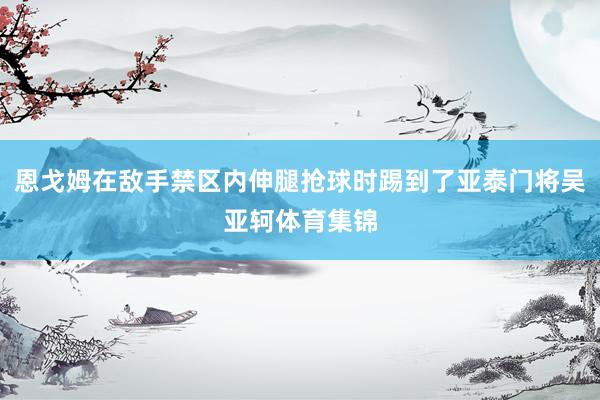 恩戈姆在敌手禁区内伸腿抢球时踢到了亚泰门将吴亚轲体育集锦