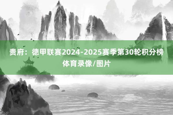 贵府：德甲联赛2024-2025赛季第30轮积分榜体育录像/图片