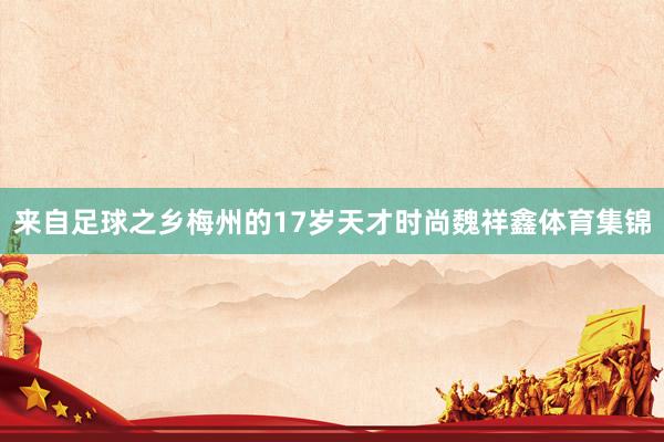来自足球之乡梅州的17岁天才时尚魏祥鑫体育集锦