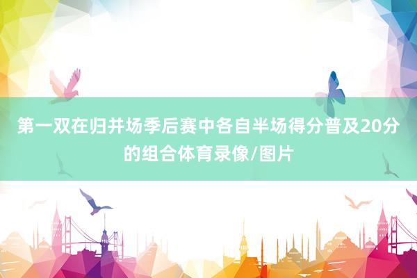 第一双在归并场季后赛中各自半场得分普及20分的组合体育录像/图片
