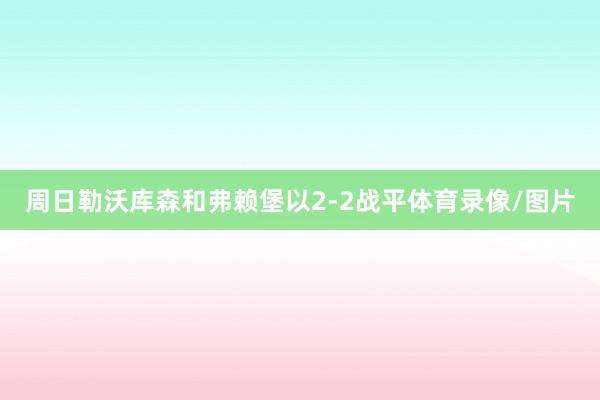 周日勒沃库森和弗赖堡以2-2战平体育录像/图片