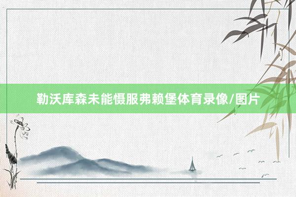 勒沃库森未能慑服弗赖堡体育录像/图片