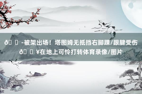 😭被架出场！塔图姆无抵挡右脚踝/跟腱受伤💥在地上可怜打转体育录像/图片