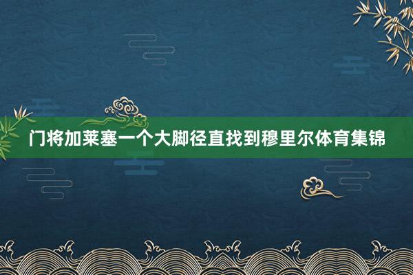 门将加莱塞一个大脚径直找到穆里尔体育集锦
