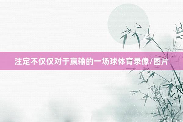 注定不仅仅对于赢输的一场球体育录像/图片