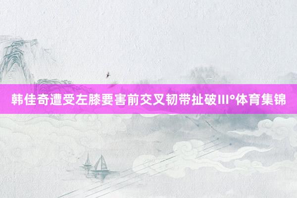 韩佳奇遭受左膝要害前交叉韧带扯破Ⅲ°体育集锦