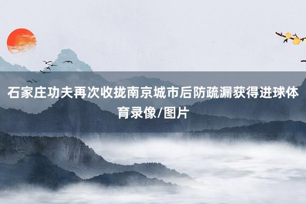 石家庄功夫再次收拢南京城市后防疏漏获得进球体育录像/图片