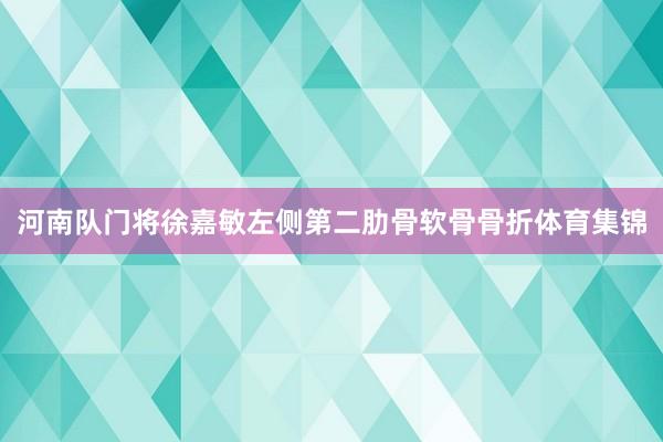 河南队门将徐嘉敏左侧第二肋骨软骨骨折体育集锦