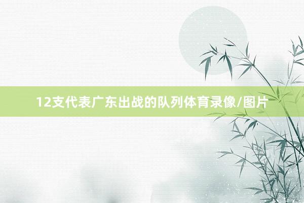 12支代表广东出战的队列体育录像/图片