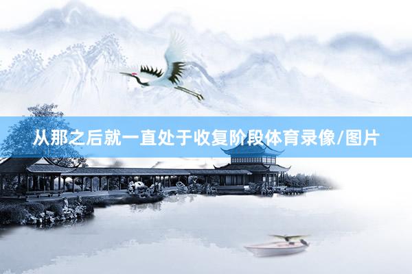 从那之后就一直处于收复阶段体育录像/图片