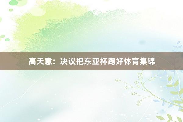 高天意：决议把东亚杯踢好体育集锦