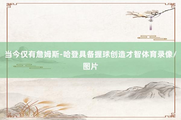 当今仅有詹姆斯-哈登具备握球创造才智体育录像/图片