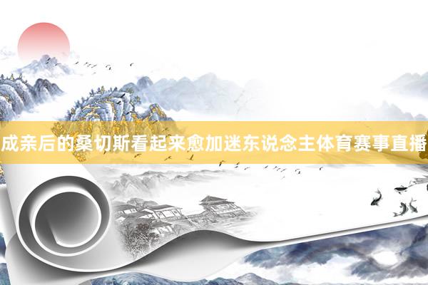 成亲后的桑切斯看起来愈加迷东说念主体育赛事直播