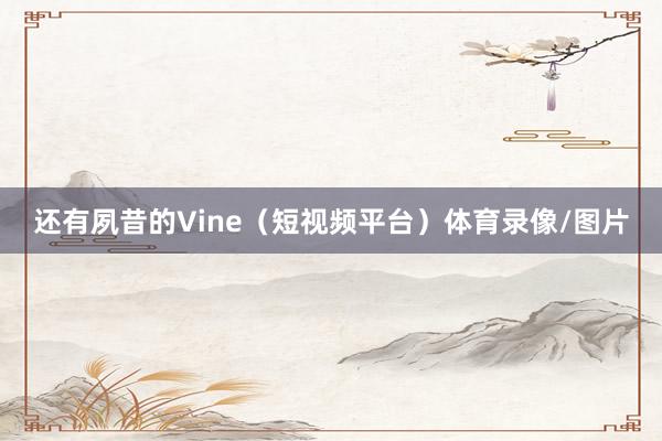 还有夙昔的Vine（短视频平台）体育录像/图片