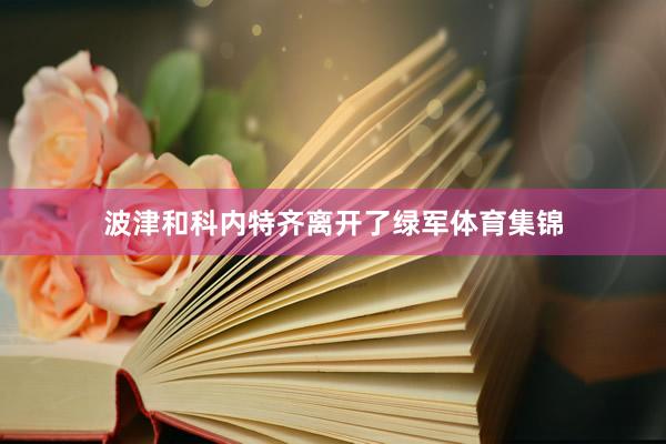 波津和科内特齐离开了绿军体育集锦
