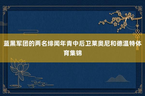 蓝黑军团的两名绯闻年青中后卫莱奥尼和德温特体育集锦