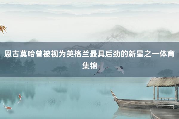 恩古莫哈曾被视为英格兰最具后劲的新星之一体育集锦
