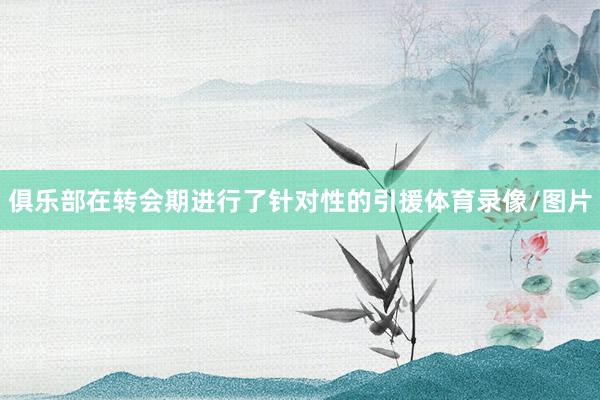 俱乐部在转会期进行了针对性的引援体育录像/图片