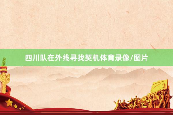 四川队在外线寻找契机体育录像/图片