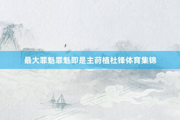 最大罪魁罪魁即是主莳植杜锋体育集锦