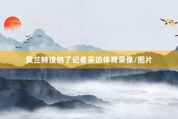 莫兰特接纳了记者采访体育录像/图片