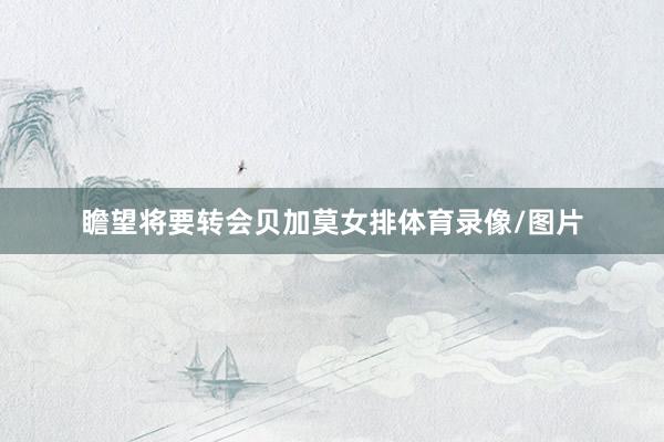 瞻望将要转会贝加莫女排体育录像/图片