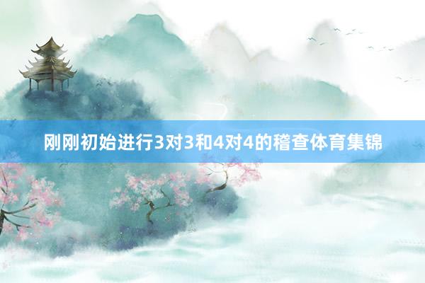刚刚初始进行3对3和4对4的稽查体育集锦