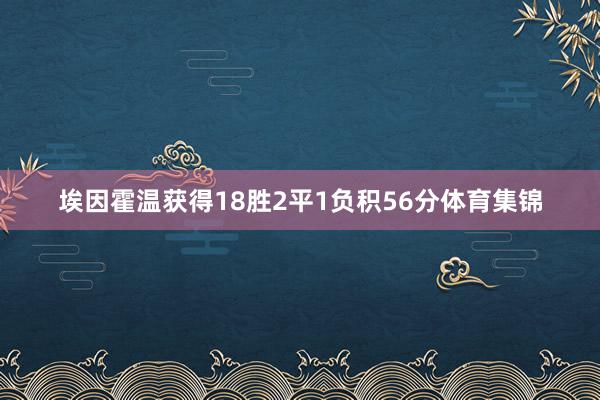 埃因霍温获得18胜2平1负积56分体育集锦