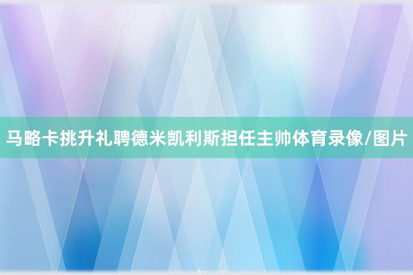 马略卡挑升礼聘德米凯利斯担任主帅体育录像/图片
