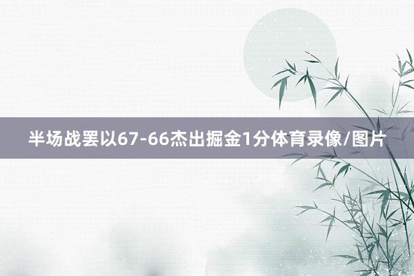 半场战罢以67-66杰出掘金1分体育录像/图片