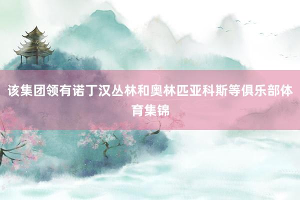 该集团领有诺丁汉丛林和奥林匹亚科斯等俱乐部体育集锦