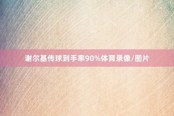 谢尔基传球到手率90%体育录像/图片