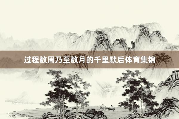 过程数周乃至数月的千里默后体育集锦