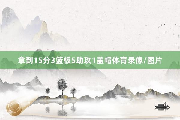 拿到15分3篮板5助攻1盖帽体育录像/图片