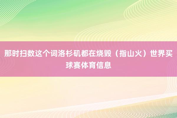那时扫数这个词洛杉矶都在烧毁(指山火)世界买球赛体育信息
