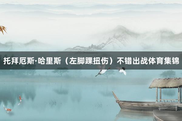 托拜厄斯·哈里斯（左脚踝扭伤）不错出战体育集锦