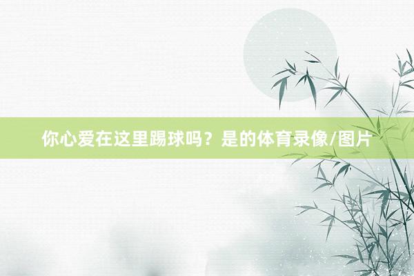 你心爱在这里踢球吗？是的体育录像/图片