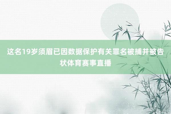 这名19岁须眉已因数据保护有关罪名被捕并被告状体育赛事直播